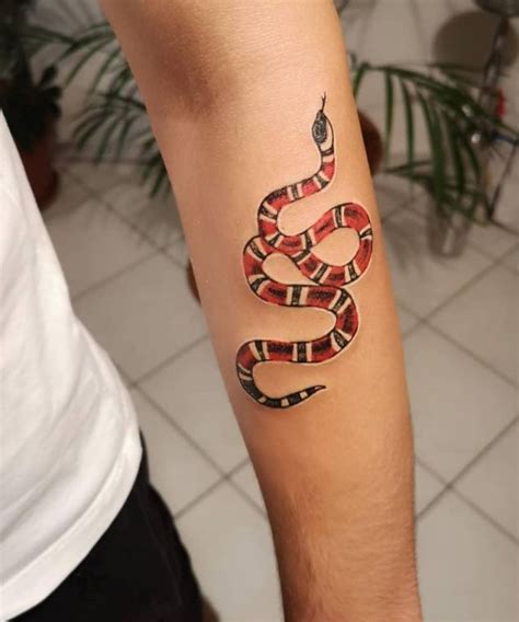 gucci snake tattoo on arm